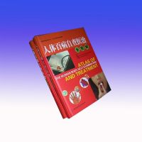 ����ٲ��Բ�ҽ��