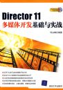 DIRECTOR11��ý�忪��������ʵս