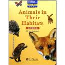 ������Ϣ��