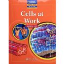 ϸ���ڹ���