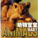 ���ﱦ��(�������)(��)