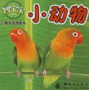 �Ǳ�����С����