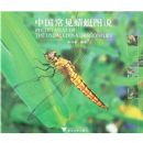 �й���������ͼ˵