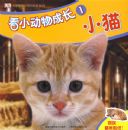 ��С����ɳ�1��Сè