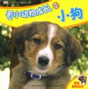 ��С����ɳ�2��С��