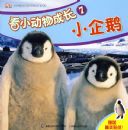 ��С����ɳ�7��С���