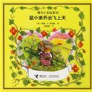 ����С����ϵ��(ȫ8��)