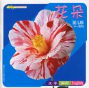 yesϵ�С������䣨ע���棩