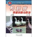 Ѽ�첡������������