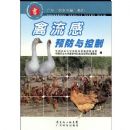 ������Ԥ�������