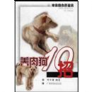 ���⹷10��