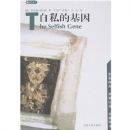 ��˽�Ļ���