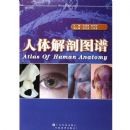 �����ͼ��