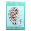 ������������ͼ(��˵����)