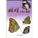 �����Ļ������