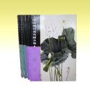 �ִ�����ȫ��