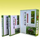 ���в�ҩ��䡷����ԭɫ�в�ҩֲ��ͼ�������²ᣩ