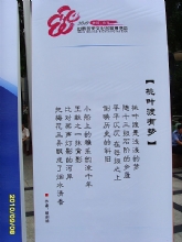 ��Ҷ������