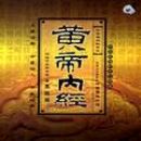 ������ƪ���Ƶ��ھ���