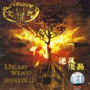 ������(CD)