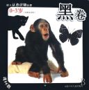 �׶���ɫʶ���ͼ(0-3��ھ���Ӣ�Ķ���)