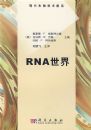 RNA����