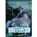 ׷���������