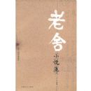 ����С˵��