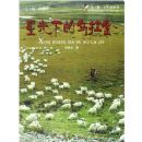 �ǹ��µ�������