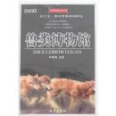 ���಩���